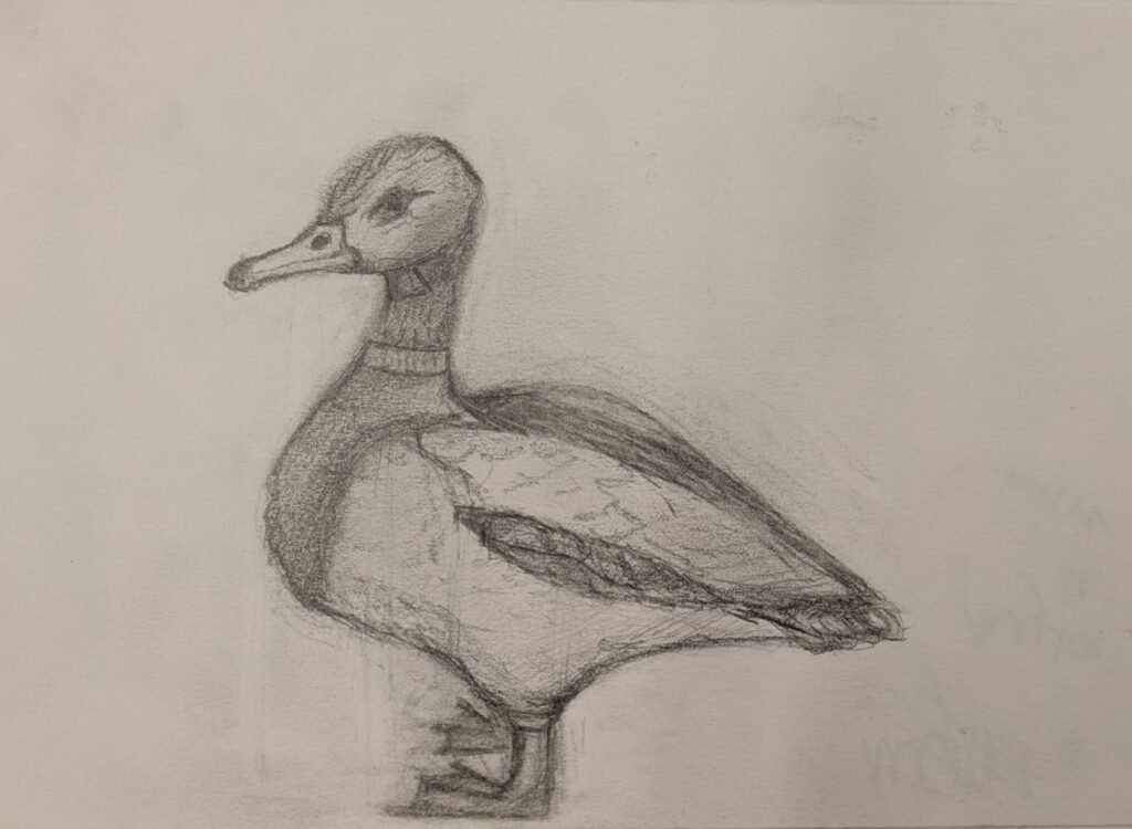 pxl 20260108 073000773