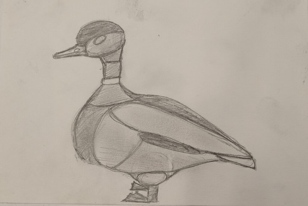 pxl 20260108 073004131