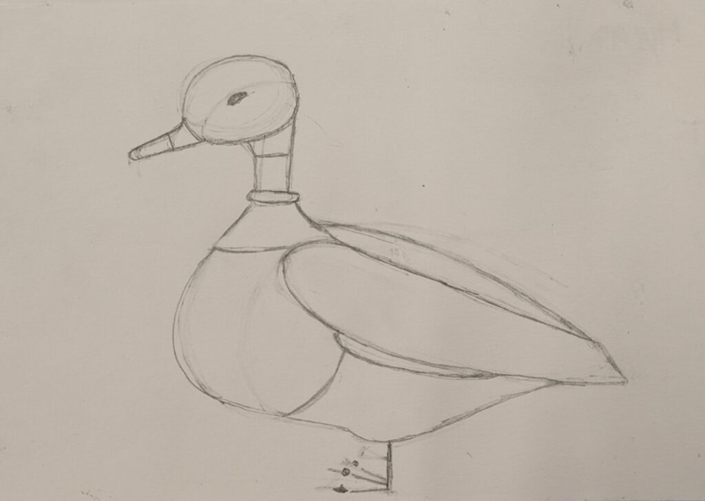 pxl 20260108 073008340